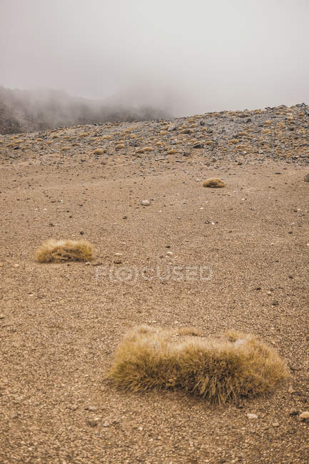 Terreno rocoso con nubes de niebla sobre montañas en Tongariro en Nueva Zelanda - foto de stock