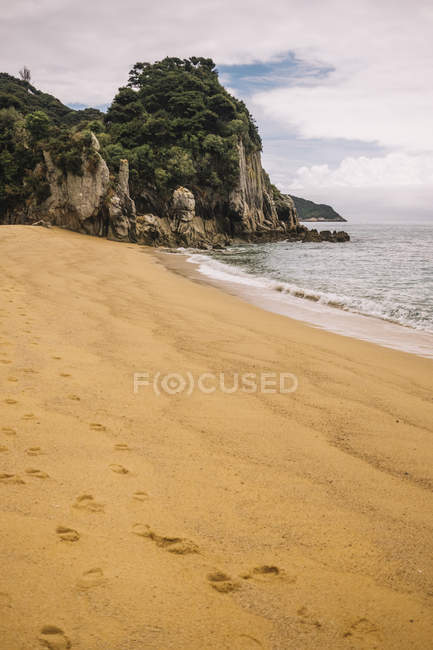 Landscape of empty sandy beach and green forest in Pancake Rocks at New Zealand — Stock Photo
