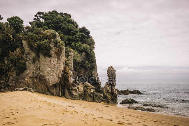 Landscape of empty sandy beach and green forest in Pancake Rocks at New Zealand — Stock Photo