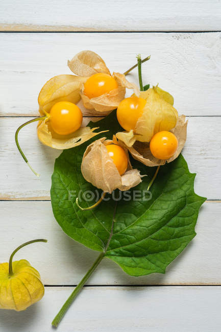 Dall'alto frutto di Physalis con foglia su assi di tavolo bianche di legno . — Foto stock