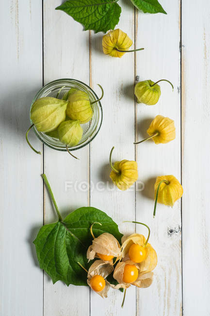 Do acima mencionado fruto de Physalis com folhas e jarro de vidro em umas tábuas de mesa brancas de madeira . — Fotografia de Stock