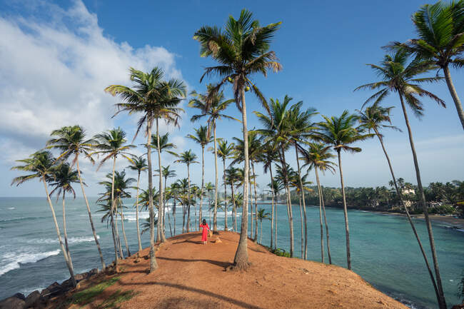 Tranquillo viaggiatore femminile tra le palme in riva al mare — Foto stock