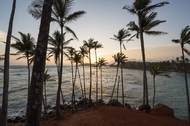 Océan exotique colline sablonneuse avec palmiers — Photo de stock