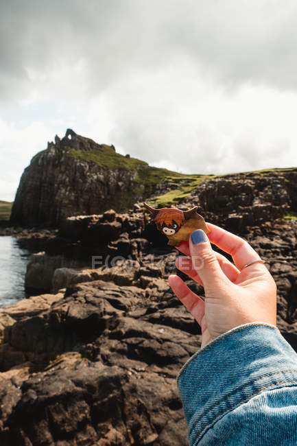 Cropped of hand of woman holding figurine of Highland cattle against grassy rocky shore in overcast weather in Scotland — Stock Photo