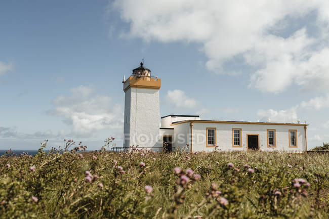 From below of white lighthouse with buildings surrounded by field with flowers on Scottish coast — Stock Photo