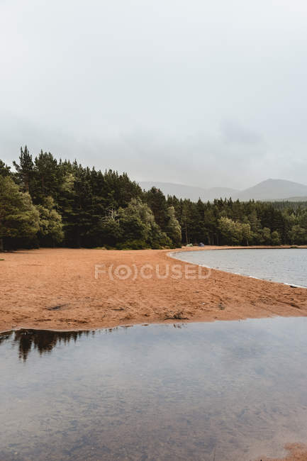 Paisagem tranquila panorâmica de praia de areia e floresta verde à beira do lago, na Escócia, com montanhas nebulosas em tempo nublado — Fotografia de Stock