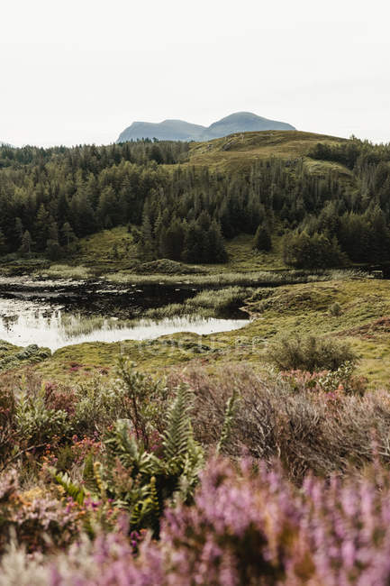Merveilleux paysages de hauts plateaux sous des nuages luxuriants en Écosse — Photo de stock