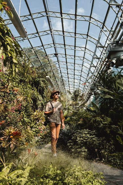 Junger männlicher Reisender mit Hut und Sonnenbrille geht auf Fußweg im Gewächshaus mit einer Vielzahl von Pflanzen in Schottland — Stockfoto