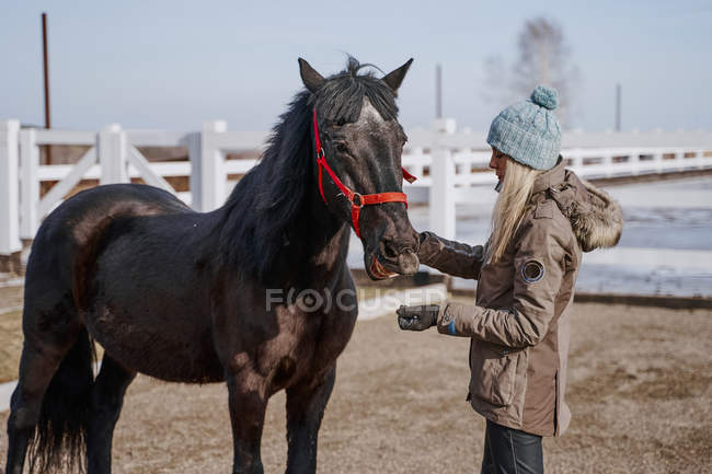 Warm-dressed woman with brown horse by hay at farm — Stock Photo