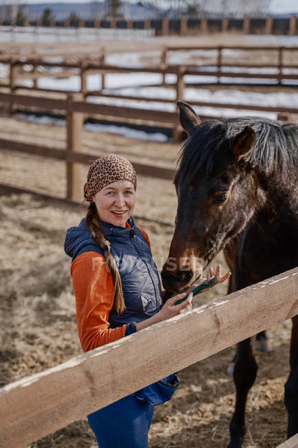 Працівник піклується про коричневого коня на відкритому подвір'ї — стокове фото