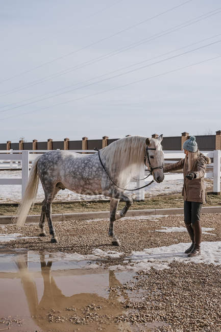 Mulher vestida quente com cavalo cinza fora — Fotografia de Stock