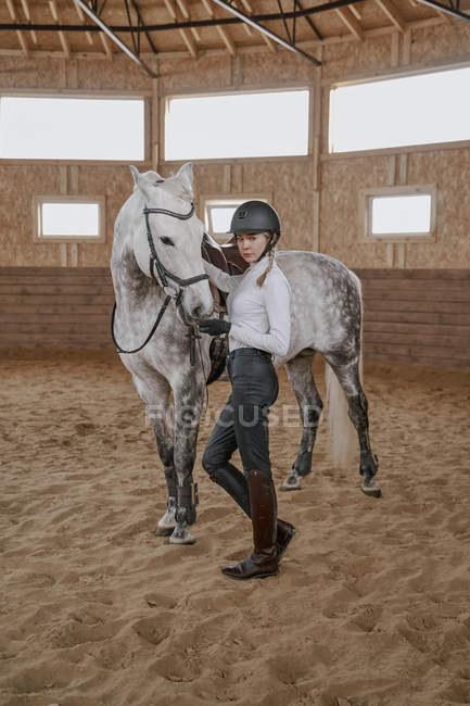На арені стоїть кінь із сірим дакасом. — стокове фото