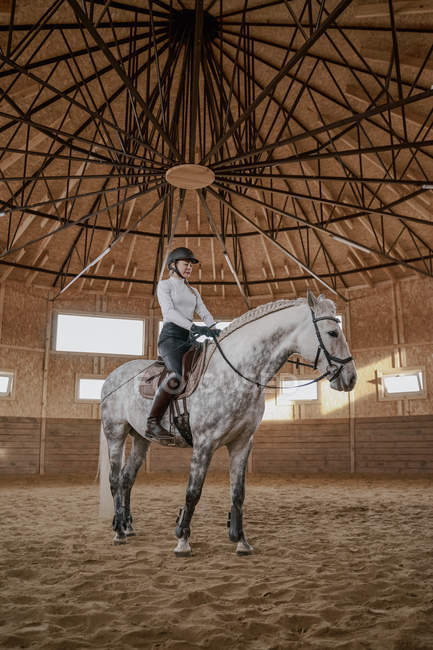 Cavalo cinza maçã graciosa com cauda fofa e cavaleiro na sela andando ao redor grande arena luz — Fotografia de Stock