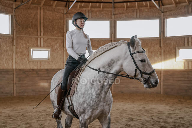 Graceful dapple gray horse with fluffy tail and horsewoman in saddle walking around light big arena — Stock Photo