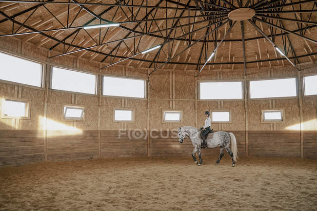 Всадник верхом на яблоне и лошади на круглой арене — стоковое фото