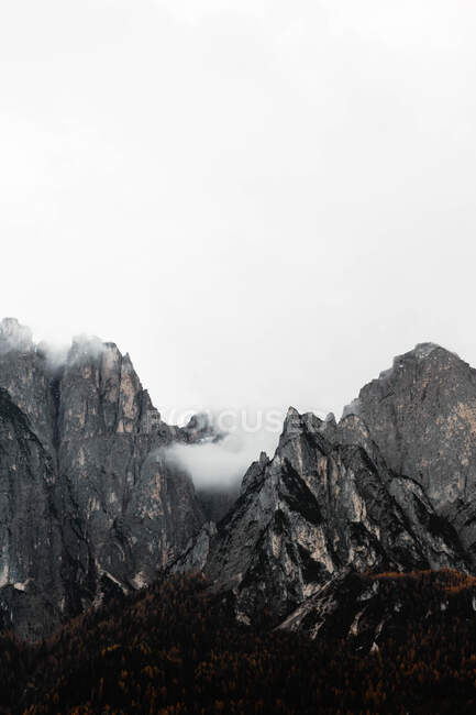 Grandes montanhas perto de pinhal em tempo nublado — Fotografia de Stock