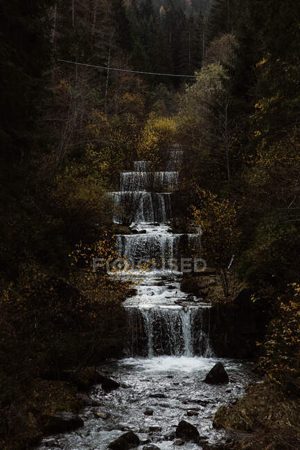 Rio de montanha em cascata na floresta de outono — Fotografia de Stock