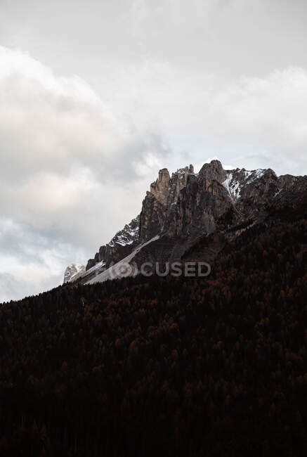 Grandi montagne vicino pineta sul tempo nuvoloso — Foto stock