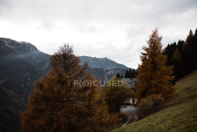 Lonely house in field by mountain — Stock Photo