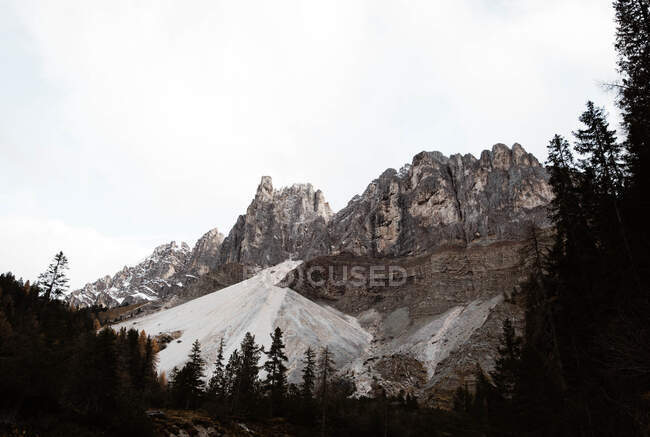 Große Berge in der Nähe von Kiefernwäldern bei trübem Wetter — Stockfoto