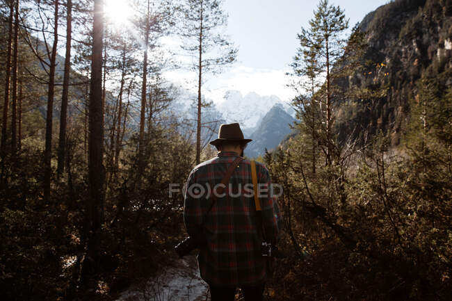 El hombre deleitándose con las vistas del bosque y las montañas - foto de stock