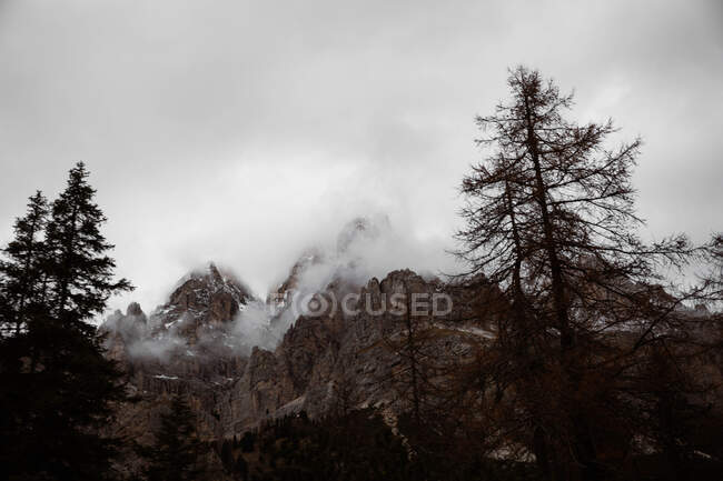 Grandes montanhas perto de pinhal em tempo nublado — Fotografia de Stock