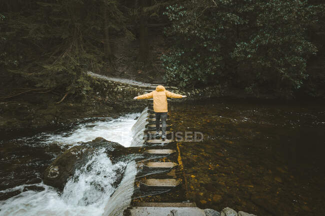 Back view of hiker in bright orange jacket walking with spreading hands on stepping stones while crossing river in forest park in Northern Ireland — Stock Photo