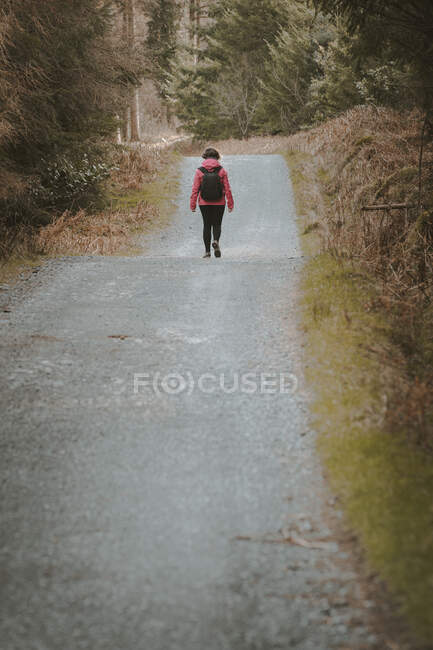 Back view of anonymous woman traveler in warm jacket walking on forest while visiting Tollymore Forest Park in Northern Ireland in spring day — Stock Photo
