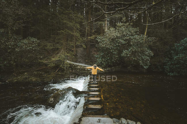 Side view of male tourist in bright orange jacket walking on foot bridge and crossing river with water flowing through stepping stones in forest of Northern Ireland — стоковое фото
