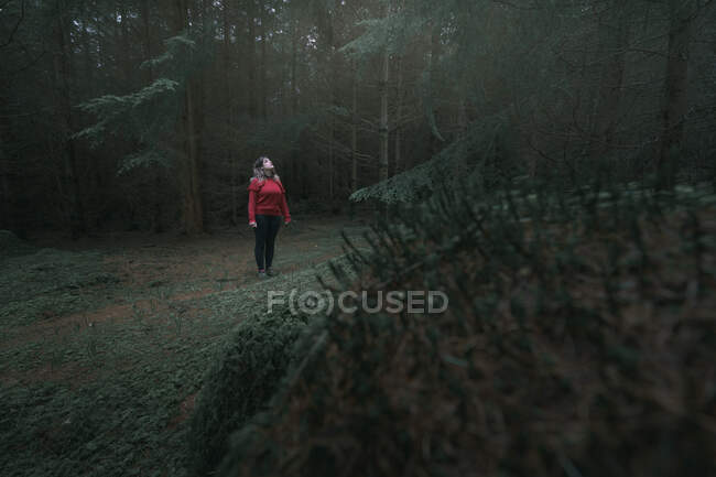 Mujer viajera en chaqueta abrigada caminando por el bosque mientras visita Tollymore Forest Park en Irlanda del Norte en el día de primavera - foto de stock