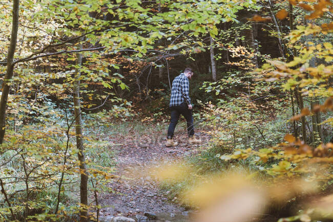 Follaje dorado en ramita pequeña con bosque otoñal y caminar en ropa casual caminar en el camino sobre fondo borroso - foto de stock