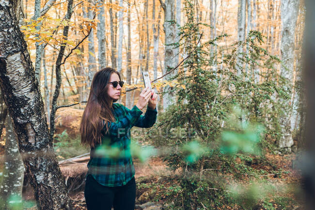 Woman in plaid shirt taking photo of autumn trees on mobile phone with woods on blurred background — Stock Photo
