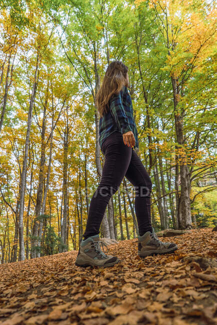 Long haired unrecognizable female in stylish casual plaid shirt sneakers and trendy sunglasses sitting on small stub on spangled of leafage path among green trees — Stock Photo