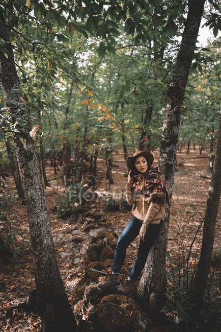 Ruhiges junges Weibchen mit stylischem Hut und Schal steht im Herbstwald und schaut weg, während sie sich im grünen Wald ausruht — Stockfoto