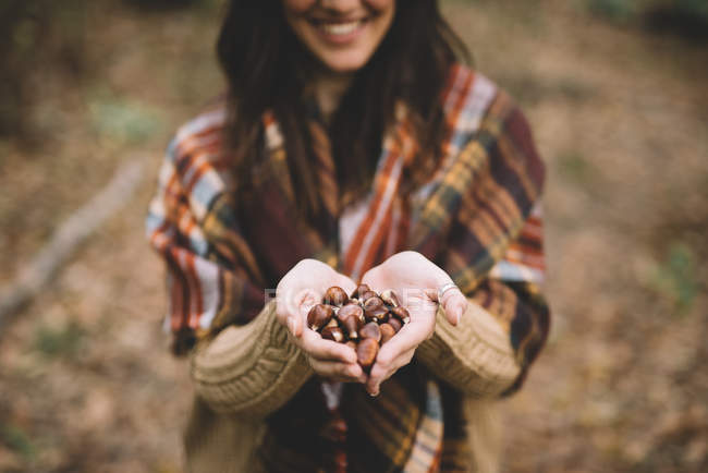 From above female smiling and demonstrating handful of chestnuts while spending time in forest — Stock Photo