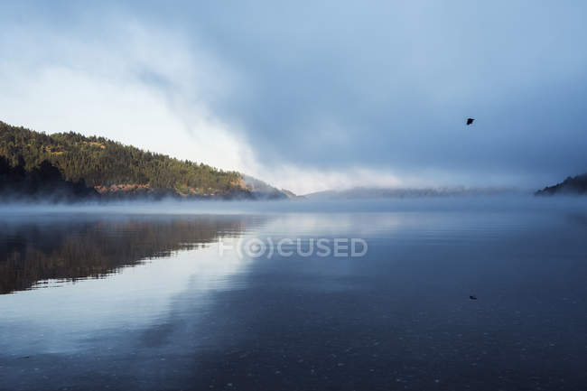 Безупречный спокойный морской пейзаж гор и озера, отражающих облака, и маленькая птица в небе в Национальном парке Лагуна-дель-Лаха, Чили — стоковое фото