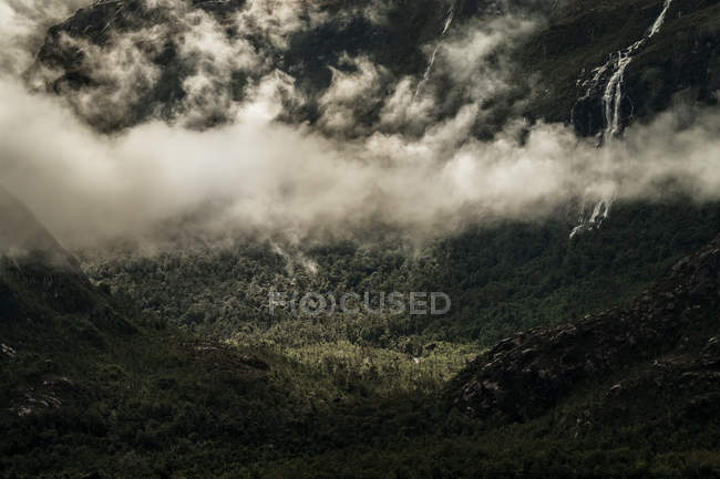 Nuages blancs de brume sur la plaine verte dans les sombres hautes montagnes de Tortel, Chili — Photo de stock