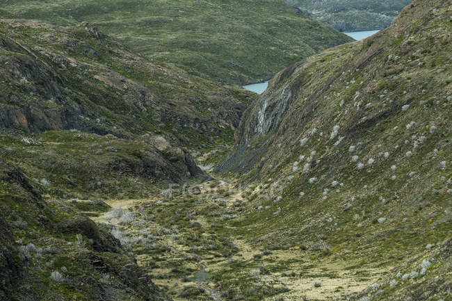 Camino hacia aguas tranquilas a través del valle con hierba seca y verde rodeada de montañas en Chile - foto de stock