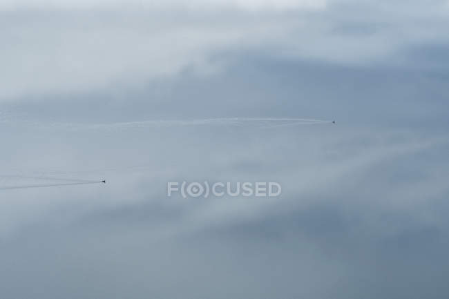 Dal basso veloci aerei veloci che volano in cielo sereno e nuvoloso sopra il Parco Nazionale Torres del Paine, Cile — Foto stock