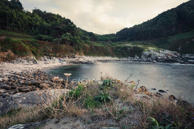 From above of tranquil pound among rocked upland shore with exotic plants and overgrown mountains on background at Portonovo beach at Italy — Stock Photo