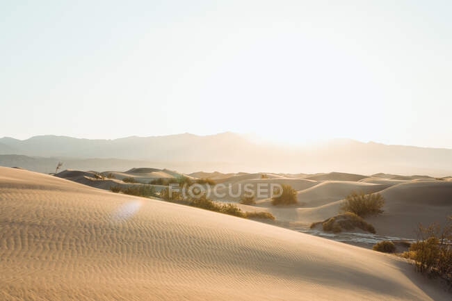 Пустыня в сухих песчаных дюнах в Долине Смерти США — стоковое фото