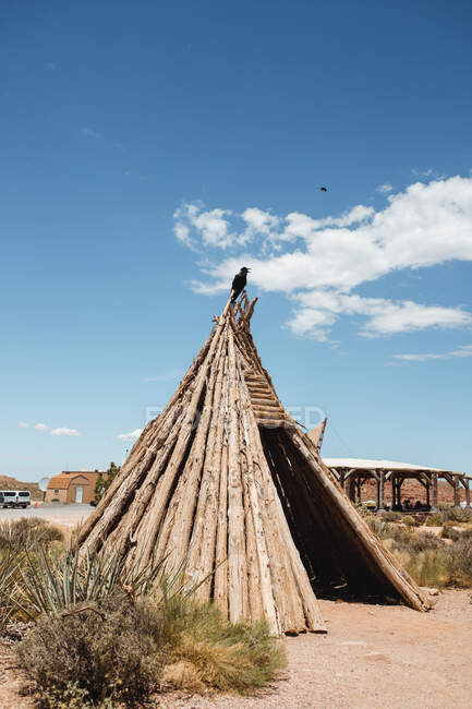 Cabana do deserto artesanal colocando em terra seca com vegetação — Fotografia de Stock