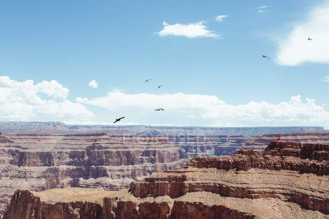 Tierra seca en la cima rocosa del Gran Cañón - foto de stock