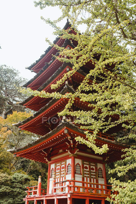Pagoda japonesa en ramas de árboles en parque - foto de stock