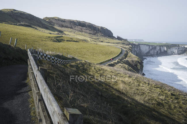 Aerial view of unrecognizable person walking on narrow rural road running along green field with grazing sheep on sunny spring day at coastline in Northern Ireland — Stock Photo