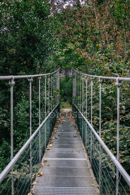 Ponte di metallo appeso attraverso la foresta cespugliosa — Foto stock