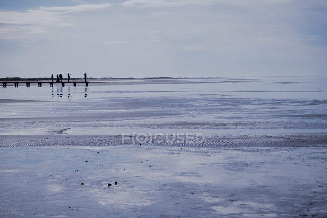 Delta de la rivière avec des silhouettes de personnes debout sur la jetée — Photo de stock