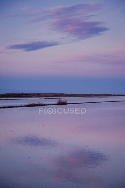 Beautiful purple sunset sky with clouds reflecting in calm water of river delta with plants strips among water — Stock Photo