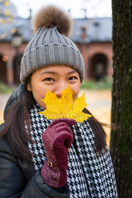 Asian woman in warm clothes looking at camera and covering face with yellow maple leaf while standing at Oslo Cathedral in Norway — Stock Photo