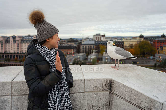Asian tourist in hat and winter jacket enjoying panoramic view of Oslo and  greeting gull while standing on roof of Oslo Opera House — Stock Photo